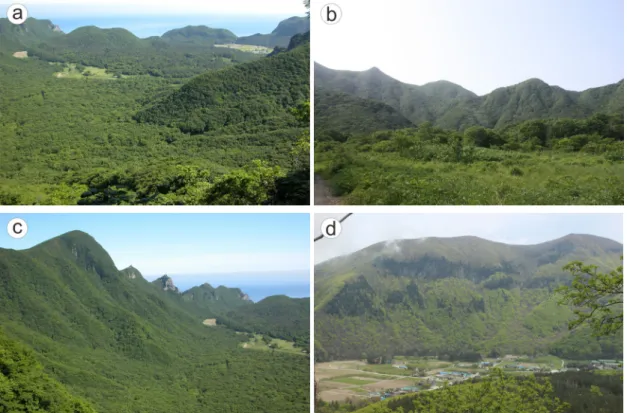 Fig. 4. Main morphological features in the Nari caldera complex. (a) Overview of the Nari caldera complex, showing  opening rim northward; (b) Morphological feature showing dendritic pattern in the southern caldera wall; (c)  Morphological feature with sca