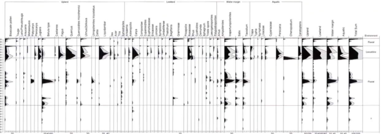 Fig. 3d. Palynofloral diagram of IIC-1X with inferred depositional environments (modified from Cheong et al., 1998).
