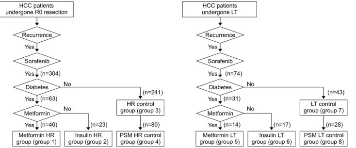 Fig. 1. Selection of patients following hepatic resection (HR) and liver transplantation (LT).