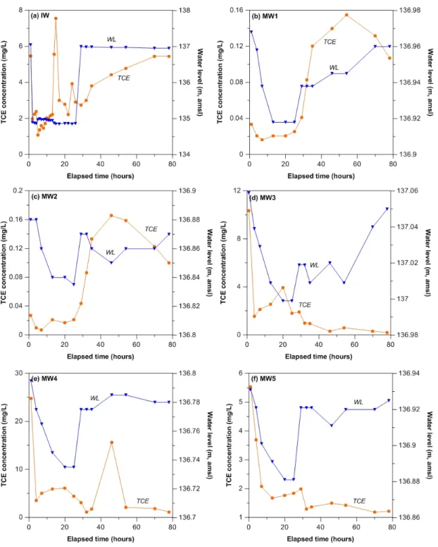 Fig. 3. TCE concentrations and groundwater levels during pumping and after cessation of the pumping at each well.