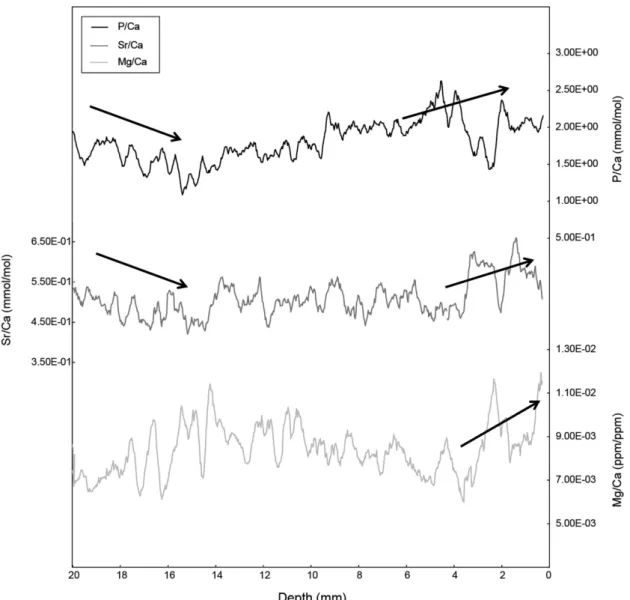 Fig. 4. High resolution P/Ca, Sr/Ca and Mg/Ca compositions with depth from the surface of the YC-1 stalagmite