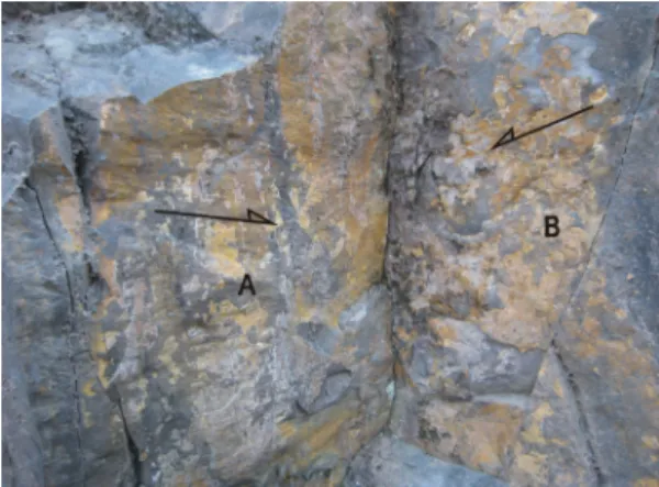 Fig. 2. Fault striations are well developed on fine sandy  rocks more so than within the coarser grained rocks