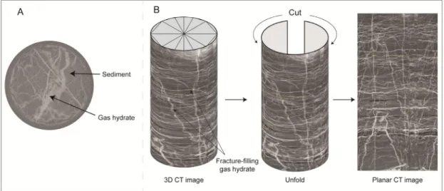 Fig. 3. (A) An example of pressure core X-CT raw image(UBGH2-3C-7P). (B) The concept of making planar CT  image from 3D CT image(UBGH2-3C-7P)
