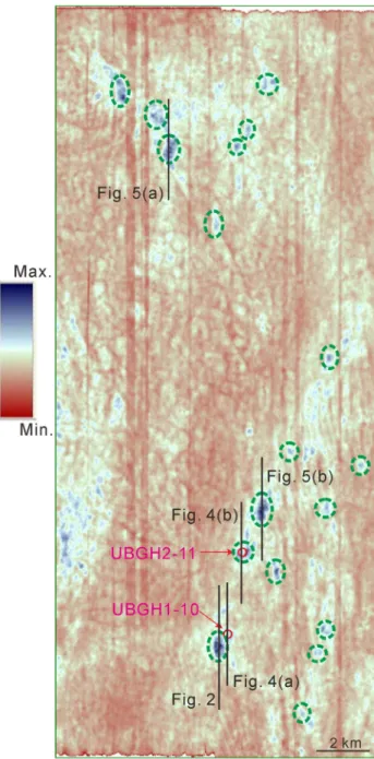Fig. 3. Elliptical reflection amplitude anomalies (dotted green circle) on the seafloor of the 3D seismic area