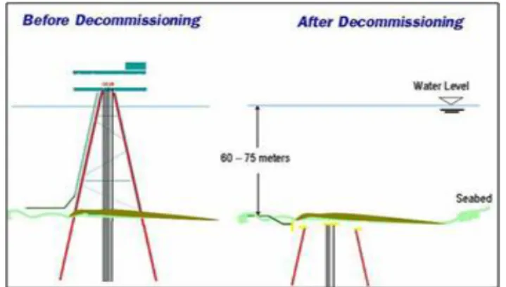 Fig. 4 Rate of Decommission as per Type of Offshore