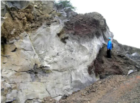 Fig. 9. Solitary dyke of the Basaltic dyke complex. Site: 