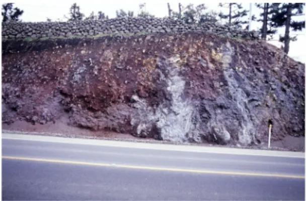 Fig. 11. Dyke swarm of the Basaltic dyke complex. Site: 
