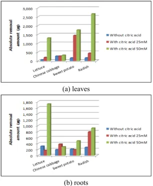 Fig. 7. Absolute uranium removal amount (㎍) in leaves  (top) and roots (bottom) of plants for 7 weeks of  phy-toextraction with/without citric acid solution.