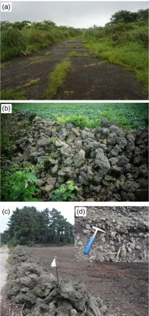 Fig. 3. Various surface features on the 1 st  lava flow unit  from Donggeomun Oreum. Locations of the photos are  shown in Figure 2a