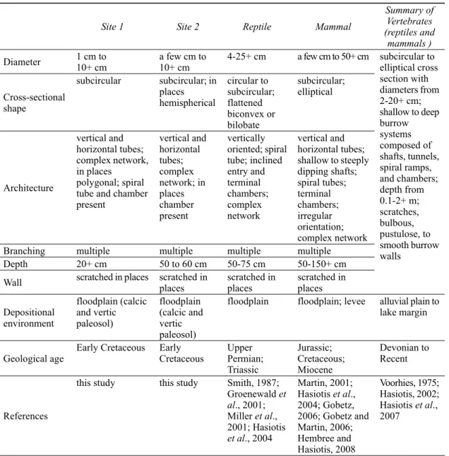 Table 1. Summarized features of the burrows described in this study and vertebrate burrows in the literatures.