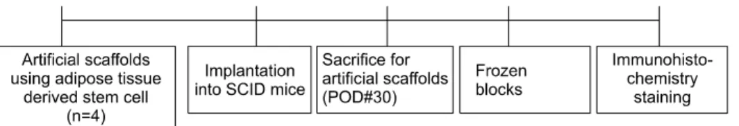 Fig. 1. Experimental model.