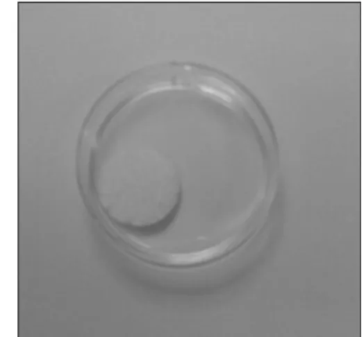 Fig. 2. Schematic presentation  and a photograph of the  artifi-cial scaffold model.