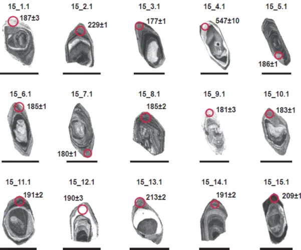 Fig. 2. Cathodoluminescence (CL) images for the analysed zircon grains separated from the Chunyang Granite with  locations of analysing spots and their apparent ages in Ma
