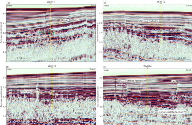 Fig. 4. A seismic profile showing the strong reflector for the figure (a) and (b), the well site near to chimney for  the figure (c), and the well site characterized by BSR, strong reflector, enhanced reflection for the figure (d)