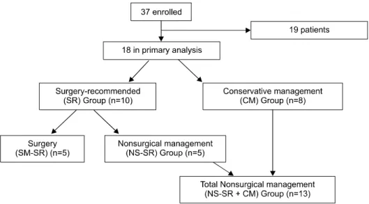 Fig. 1. Allocation of the 18 patients  for the primary analysis based on need for surgery and treatment  method