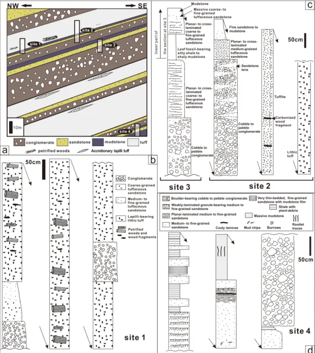 Fig. 2. Generalized stratigraphic sections of study area (a), and stratigraphic sections at sites 1 (b), 2 and 3 (c), and 4 (d).
