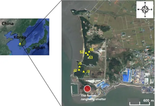 Fig. 1. Surface soil (< 15 cm) sampling points at the forest area near the former Janghang smelter site in Korea
