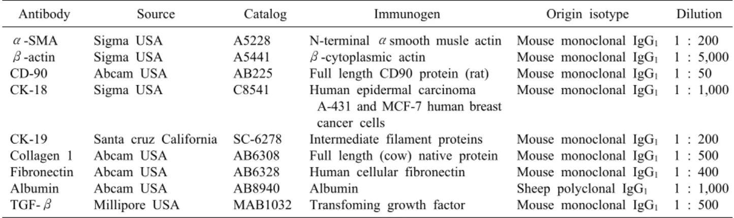 Table 1. Primary antibodies used in this study