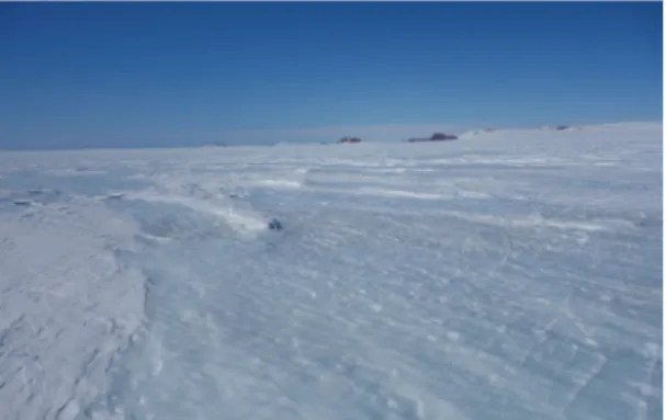 Fig. 1. A photo of the blue ice area in Tarn Flat, Victoria  Land, Antarctica. 아이스의 파란색은 얼음에 포함된 기포에서 균일한 산란이 일어나기 때문에 짙은 파란색 보다는 밝은 파란색으로 보인다