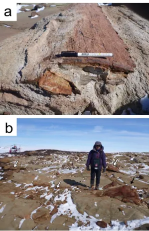 Fig. 10. Beacon Supergroup in the Skinner Ridge,  Eisenhower Range. (a) A permineralized tree trunk  de-clared as “Antarctic Geological Monument” by the  Italian Antarctic Research Programme