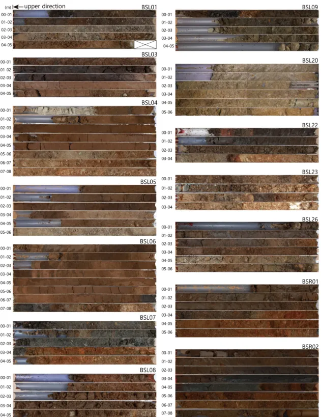 Fig. 3. Photos of cores recovered from study area.