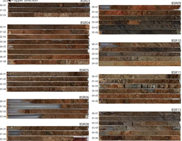 Fig. 3. continued.