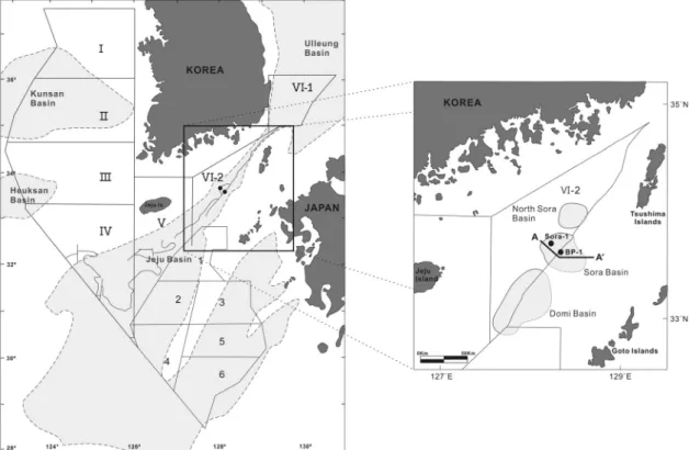 Fig. 1. Location map of the Sora Basin including studied wells and seismic line.