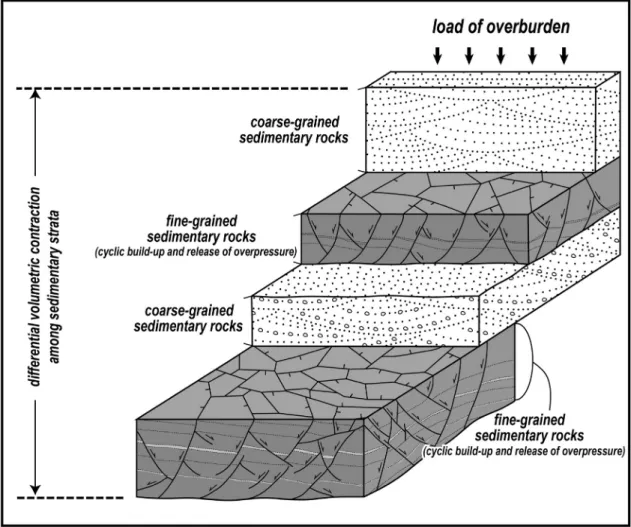 Fig. 9. Schematic model explaining the development environment of variously oriented normal faults in shale-domi- shale-domi-nant strata that are sealed by more competent and coarser-grained rocks.