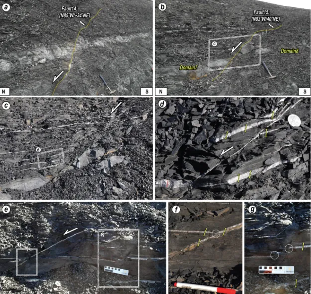 Fig. 7. Outcrop photographs showing the major structural features of Domain 7. (a) Fault 14 within Domain 7 showing  a normal separation of about 10 cm