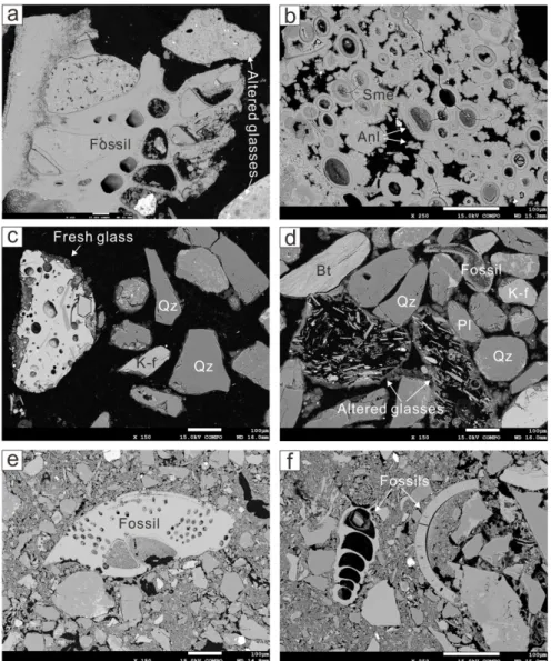 Fig. 7. SEM photography of samples from the Seogwipo Formation. A and B are from M-1, C and D are from M-2,  E and F are from S-1