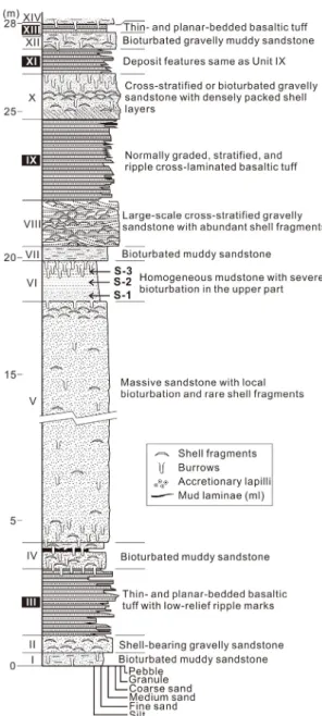 Fig. 3. Summarized log of the Seogwipo Formation in the  outcrop site. Arrows indicate the sampling locations