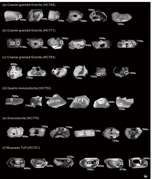 Fig. 2. Representative Cathodoluminescence images of the analysed zircon grains, showing the location of analytical  spots and  206 Pb/ 238 U ages in Ma, separated from the Coarse-grained granite (HC 771, 783, 765), Quartz monzodiorite  (HC 752), Granodior