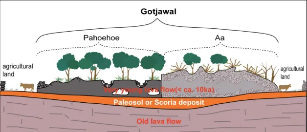 Table 3. Various definitions of Gotjawal.