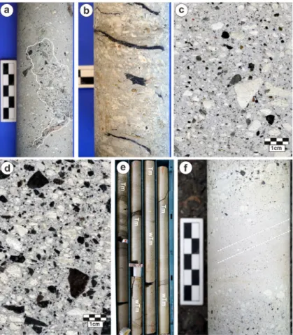 Fig. 7. Core photographs of Unit 1. (a) Fluid escape structure in JG-1 well. (b) Carbonized wood fragments in the  fine ash-rich massive lapilli tuff (facies aLTm) in JG-6 well