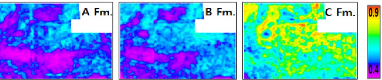 Fig. 16. Average CQ maps which is generated after putting a equal weighing value to each CQ parameter (No weight- weight-ing: Brittleness Index 33% + Natural Fracture Intensity 33% + Pore Pressure 33%).