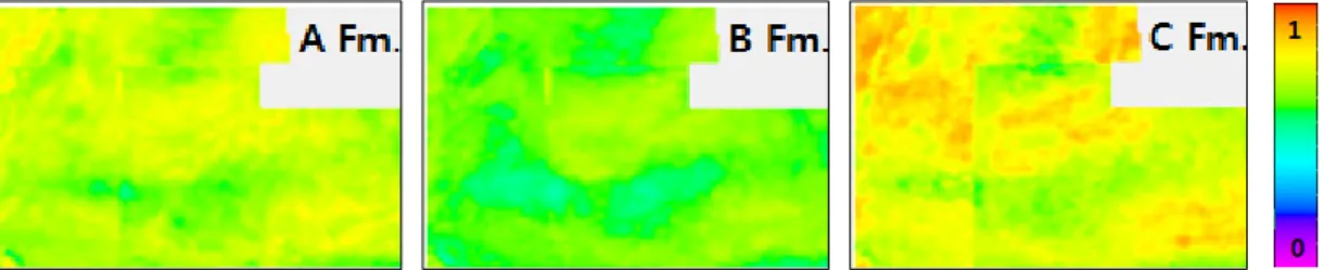 Fig. 11. Average RQ Map which is generated after putting an equal weighing value to each RQ parameter (No weight- weight-ing: TOC 25% + Gas saturation 25% + Porosity 25% + Permeability 25%).