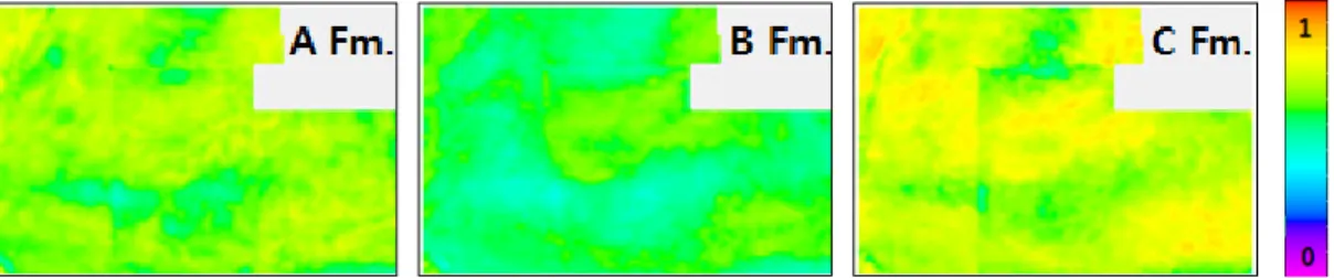 Fig. 12. Average RQ Map which is generated after putting a different weighting value to each RQ parameters  (Weighting: TOC 40% + Gas saturation 20% + Porosity 20% + Permeability 20%).