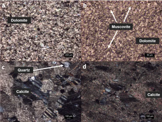 Fig. 5. Microscopic pictures of thin sections for carbonates samples under crossed (a, c, and d), and open (b) nicols