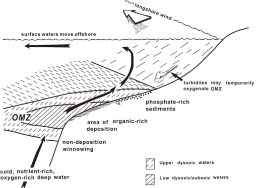 Fig. 4. Simplified dynamics of a coastal upwelling system (Wignall, 1994).시공간적인 산소함유량 변화로 설명하고 있다