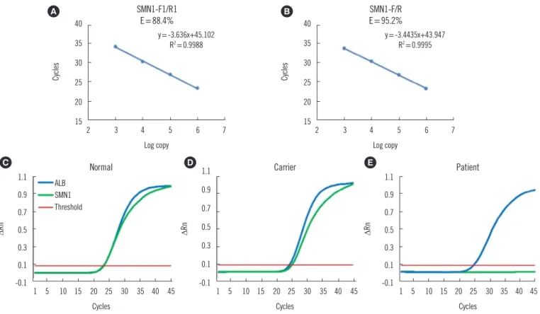Table 1. Validation using 97 peripheral blood samples by real-time  PCR  SMN1 copy number 0  1  2  3  Total Individuals 20 54 23 0 97    R-value* 0 0.56±0.03 1±0.09 -  -Sensitivity  100% 100% 100%    95% CI 80–100% 92–100% 82–100% -  -Specificity 100% 100%