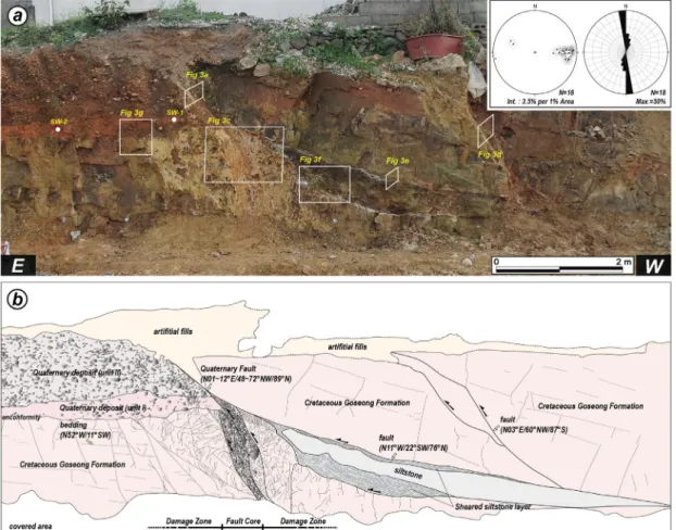 Fig. 2. (a) Outcrop photograph of the Seooe fault zone. White circles indicate the location of the OSL samples
