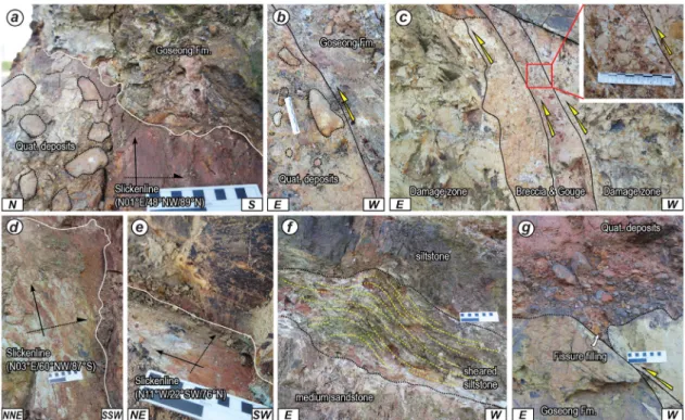 Fig. 3. Outcrop photographs showing the major structural features of the Seooe fault. (a, b) The prolate or oblate  pebbles arranged (sub) parallel to the main fault surface, and (a) slickenlines on the main fault surface indicating  the reverse movement
