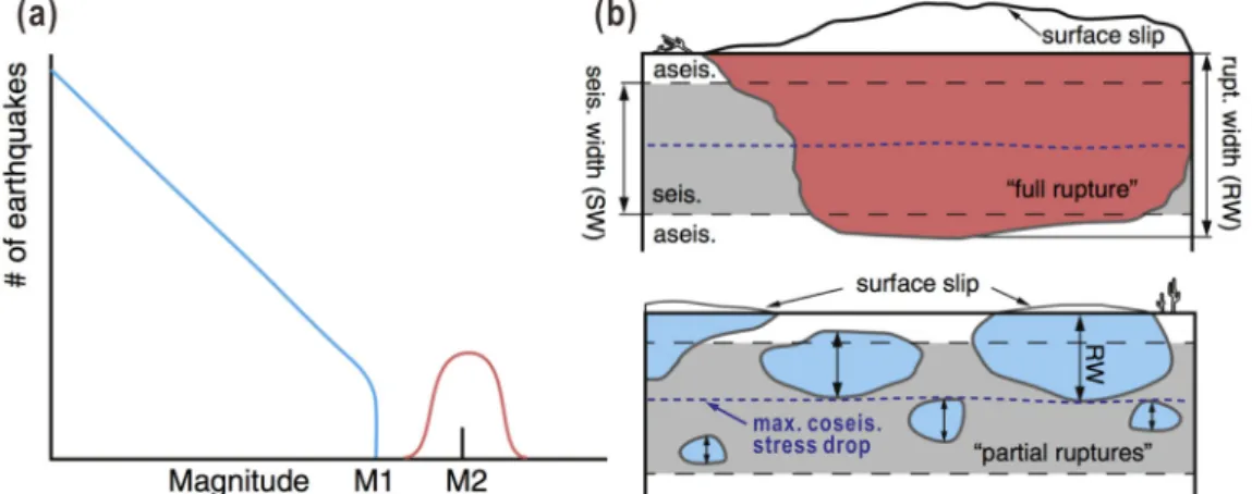 Fig. 1. Schematic representations of (a) single-fault magnitude frequency relation and (b) the down-dip rupture  width of full and partial rupture earthquakes along a fault in relation to the extent of seismogenic depth (from Zielke  et al., 2015)