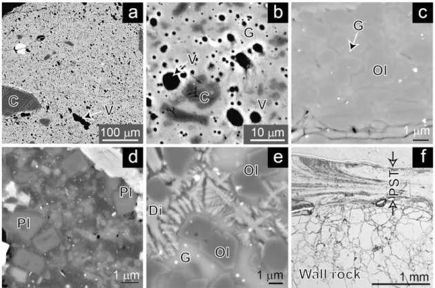 Fig. 2. Microstructural characteristics of pseudotachylytes. (a) Clasts (C) and vesicles (V) in experimental pseudo- pseudo-tachylyte of granodiorite