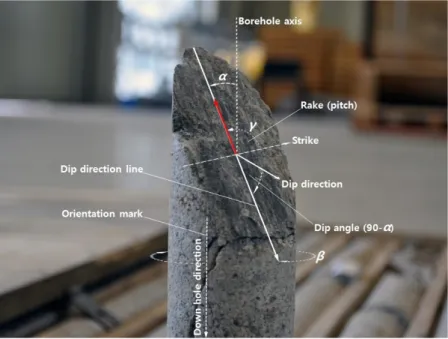 Fig. 3. Drill core angle conventions. Alpha represents the acute angle between the core axis and the dip direction  line on the planar structure (0-90°)