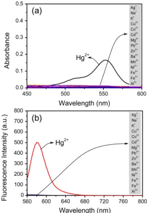 Fig. 4. Proposed binding mechanism of B for Hg 2+  ion.
