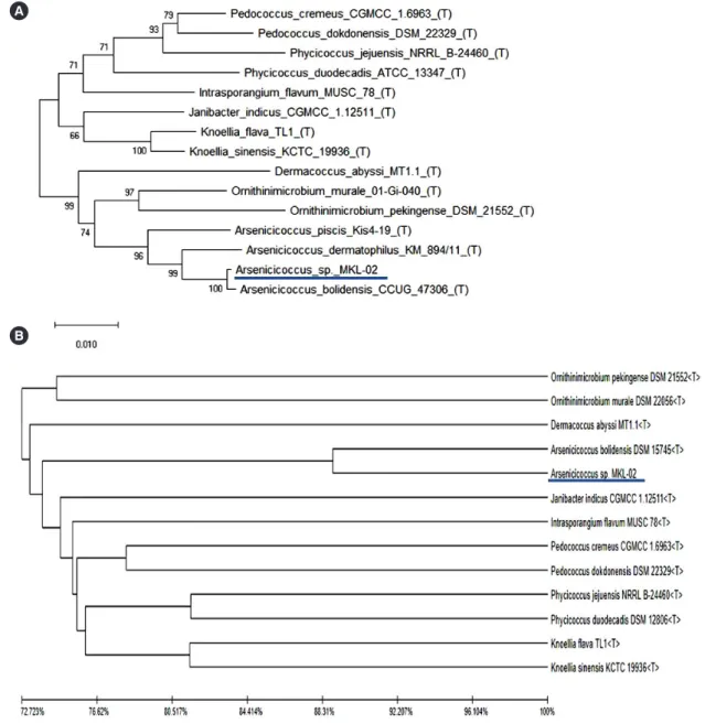 Fig. 2. Phylogenetic analysis based on (A) 16S rRNA sequences using the neighbor-joining method or (B) whole-genome sequencing com- com-bined with unweighted pair group and arithmetic mean clustering methods as well as average nucleotide identity values