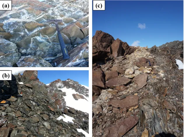 Fig. 4. (a) Metasedimentary rocks with lots of Fe-rich carbonate veins and (b) clastic sandstone-shale sequence  including Fe-rich carbonate veins in the Mountain McCarthy area