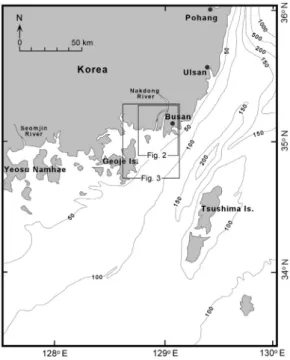 Fig. 2. Physiography of the Nakdong River delta con- con-sisting of delta plain, delta front and prodelta (modified  from Ryu et al., 2005).