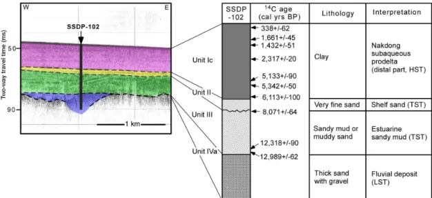 Fig. 6. Selected borehole collected from the prodelta (For location, see Fig. 3) across the seismic profile
